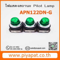 APN122DN-G รูปโชว์